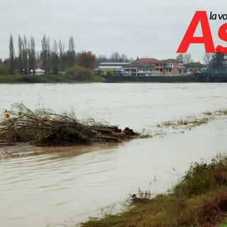 MerfePhoto - Efrem Zanchettin