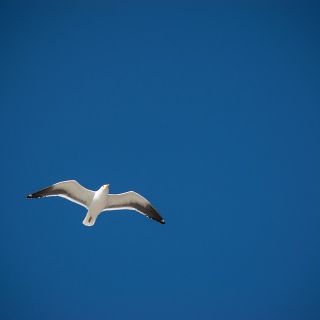 Raccontami la libertà