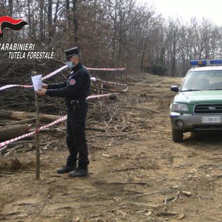 Percorso fuoristrada nei boschi Alto Astigiano, abbattimenti e accensione di roghi. Intensa atttività per i carabinieri forestali