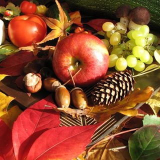 Frutticoltura: da Confagricoltura Piemonte la richiesta di interventi mirati