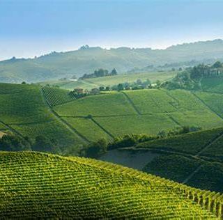 Un premio per avviare imprese non agricole nei comuni  del GAL Terre Astigiane