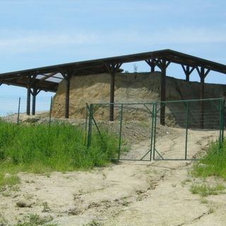 Ad Asti, paleontologi per un giorno. Continuano gli appuntamenti del Museo Paleontologico