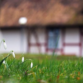 Come arredare il giardino senza lasciare nulla al caso