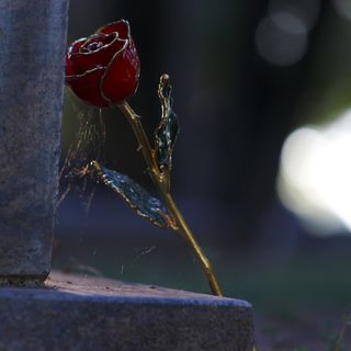 Due iniziative per la Giornata della Memoria dell'Associazione Italia Israele di Asti