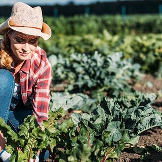 Ismea “Generazione Terra”: fino al 100% di sostegno ai giovani agricoltori per l’acquisto di terreni