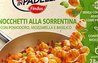 Findus richiama due lotti di “4 Salti in Padella”. Lo ha comunicato l’azienda, attraverso il proprio sito internet