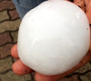 Foto Confagricoltura Piemonte