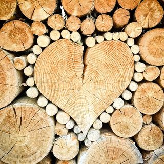 Bioedilizia prefabbricata: qual è il legno migliore per le case abitabili in legno?