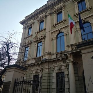 Peste suina, tra Piemonte e Liguria 53 cinghiali infetti: arriva la super barriera [VIDEO]