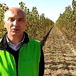Enrico Allasia “adesso serve accelerare la ripresa e una maggiore semplificazione della burocrazia”
