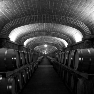 L’allarme di Coldiretti: “In crisi 4 cantine su 10, aiutiamole con #iobevoitaliano”