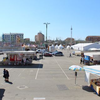 Angela Motta: &quot;Disastrosa la scelta del Comune di allestire la Fiera in piazza del Palio&quot;