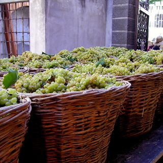 Confagricoltura: le prospettive di sanzioni alla Russia mettono a rischio anche il mercato dell’Asti Spumante