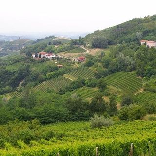 Cassinasco