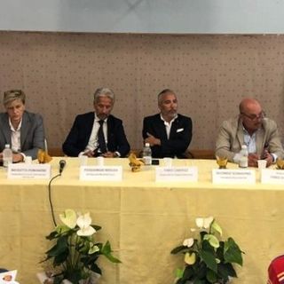 Un momento del convegno cui ha preso parte il vicepresidente Carosso
