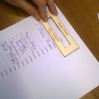 Il guidafirme