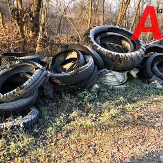 Alcune immagini relative l'intervento di ripulitura di questa mattina
