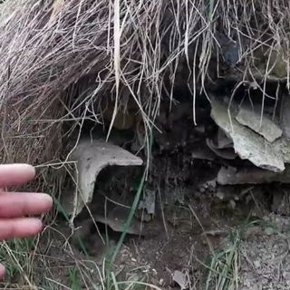 L’ennesima discarica abusiva nascondeva lastre che potrebbero essere in eternit