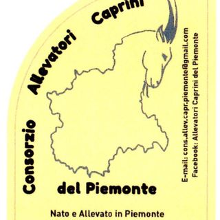 L'etichetta dei capi garantiti dal Consorzio