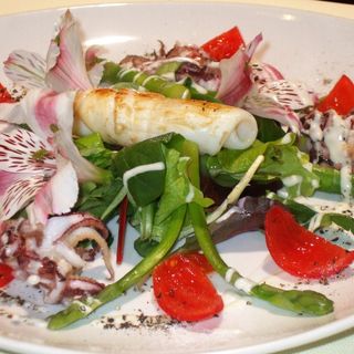 Ad Alassio il Festival Nazionale &quot;Cucina coi Fiori&quot; dall’8 aprile. Ecco tutto il programma