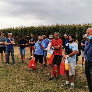 Riflettori puntati sulle nuove tecniche di coltivazione di mais e soia. Il successo dell’evento di Fondazione Podere Pignatelli