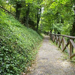 Bosco dei partigiani