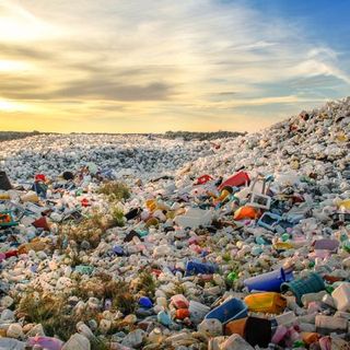 L'appello dei giovani di ANCI Piemonte: &quot;Diventiamo la prima regione plastic-free d'Italia&quot;