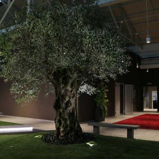 Giubileo, una grande squadra al servizio del commiato