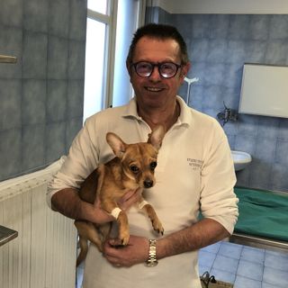 Il dottor Gian Paolo Squassino con un piccolo paziente