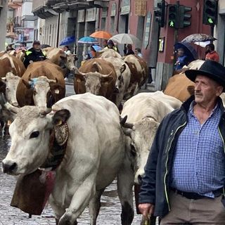 Carignano (TO): la Sagra del Ciapinabò batte anche la pioggia