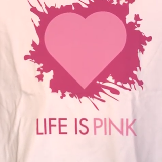 Il Consiglio regionale per Candiolo