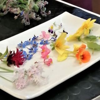 'Mangiare i Fiori' una cena di Gala esclusiva sabato 9 aprile a Alassio. Prenotazioni aperte!
