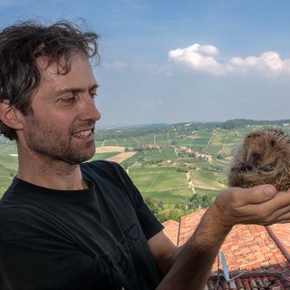 Massimo Vacchetta