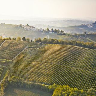 Michele Chiarlo raddoppia la propria presenza nell'area di produzione del Nizza Docg