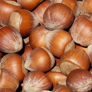 Cortemilia: fiera nazionale della nocciola ancora più accessibile grazie all'app 'tabUi'