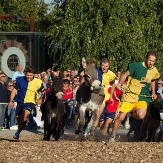 Cocconato: domenica, con l'inedito Palio dei bambini, si aprirà una ricca edizione 2019 del Palio degli asini