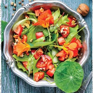 A Sanremo l’evento di chiusura del Progetto Interreg-Alcotra dedicato ai fiori eduli ed alle erbe aromatiche