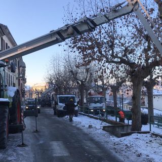 In centro a San Damiano si potano le piante a tempo di record