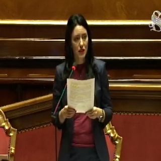 La ministra Azzolina nel corso del suo intervento al Senato