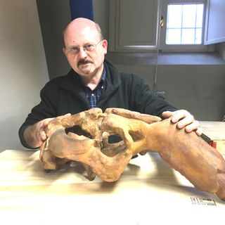 Piero Damarco ritratto con il sirenide di Montiglio