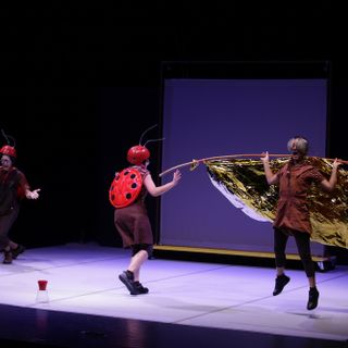 Alla scoperta del mondo degli insetti grazie al nuovo appuntamento con le ‘Domeniche a teatro’