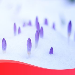 ‘uBroker Srl’, Cristiano Bilucaglia: 'Superati i 100 mln di euro di fatturato aggregato'