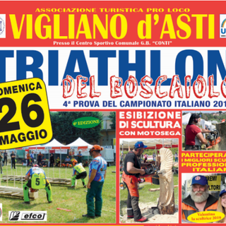 Boscaioli da tutta Italia si ritroveranno a Vigliano per dar vita al loro &quot;campionato&quot;