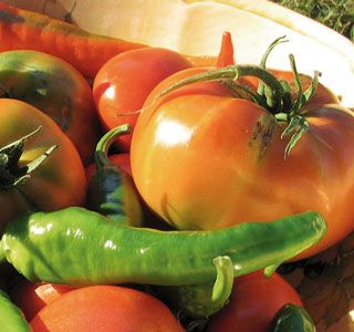 Agricoltura Piemonte: dalla Regione 2.5 milioni sul Psr agro climatico ambientali e agricoltura biologica