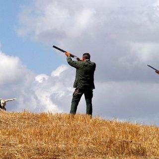 Caccia, l’ira di Legambiente: “In Piemonte approvata la legge vergogna”