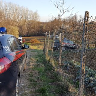 Travolto da un albero a San Paolo Solbrito