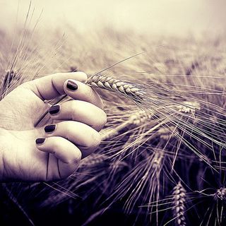 Caos buoni celiachia, l'iter burocratico blocca la spendibilità nazionale