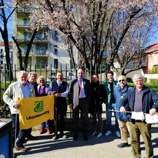 Sopralluogo in corso Matteotti ad Asti per la verifica degli alberi