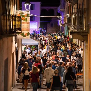 Un grande successo per la Fiera Nazionale che Cortemilia ha dedicato alla nocciola