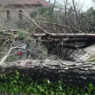 Danni da maltempo: la Regione Piemonte chiederà lo stato di calamità